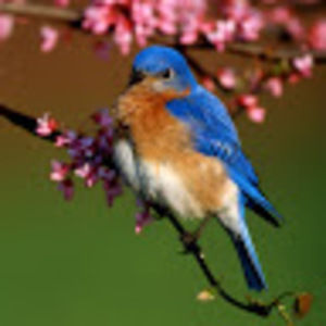 Meet your Posher, Deborah